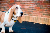 Johl (16 of 30)